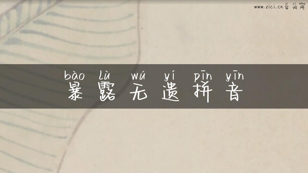 暴露无遗拼音