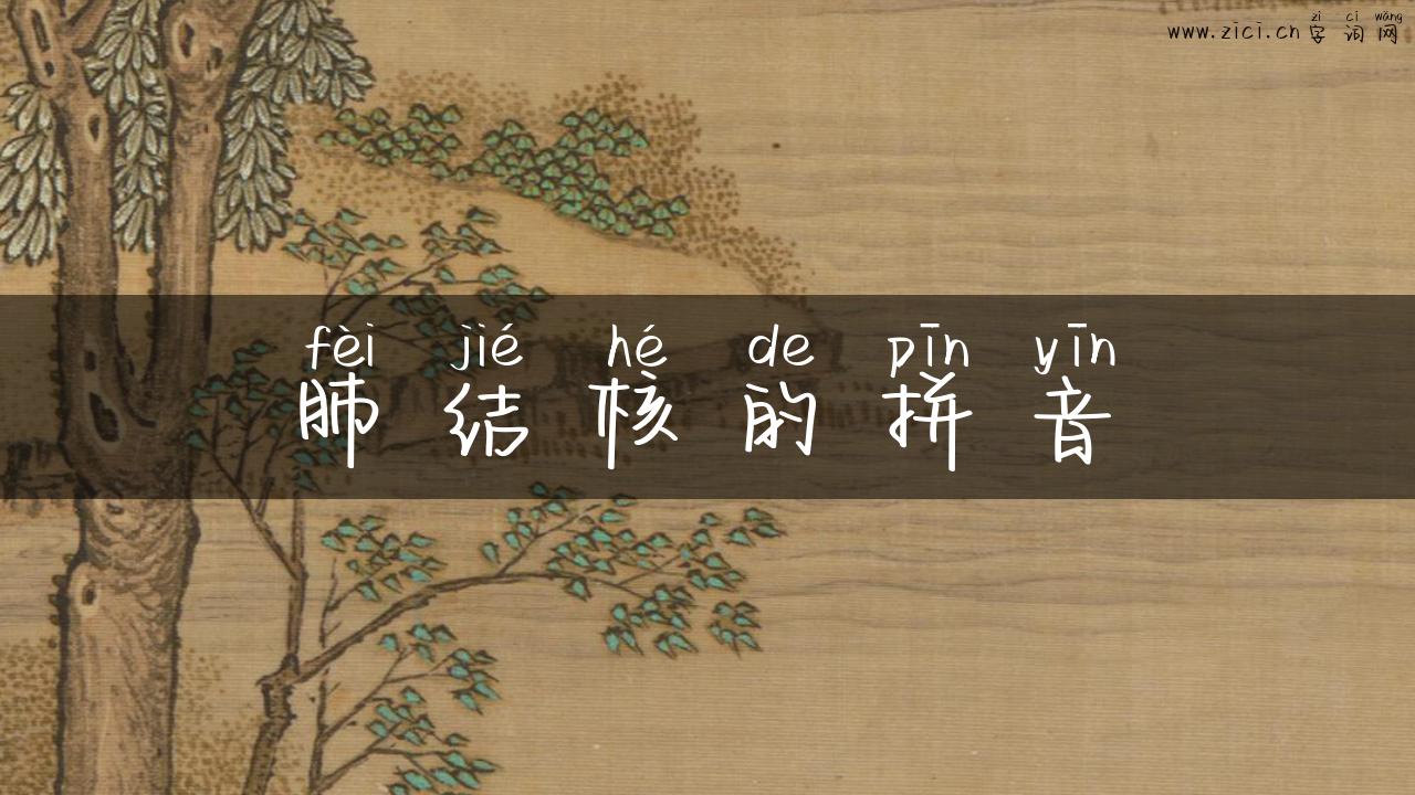 肺结核的拼音