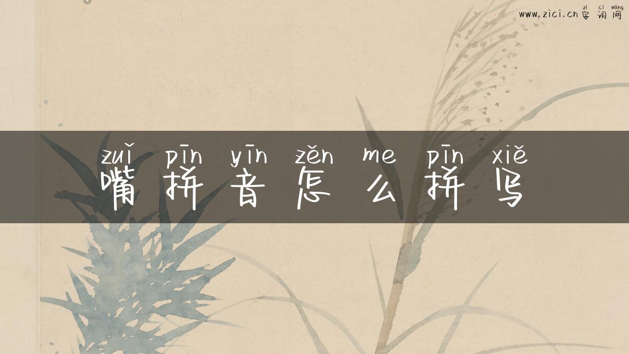 嘴拼音怎么拼写