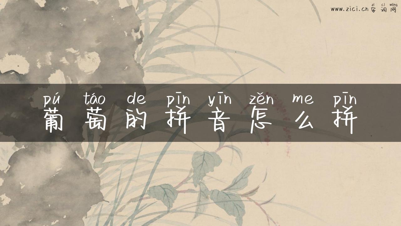 葡萄的拼音怎么拼