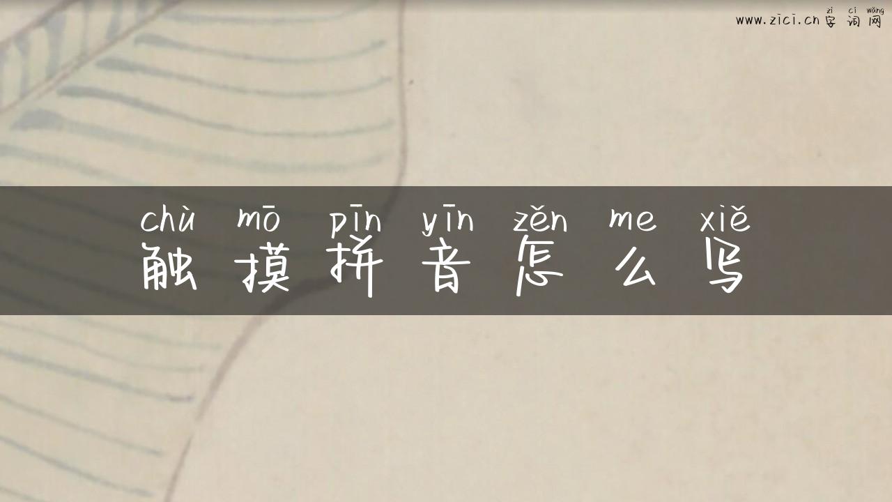 触摸拼音怎么写