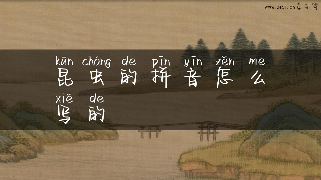 昆虫的拼音怎么写的