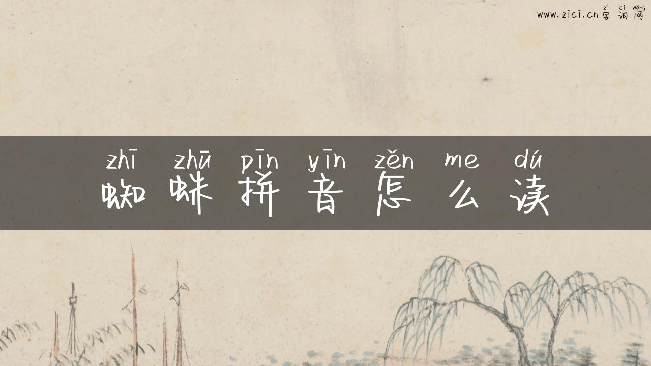 蜘蛛拼音怎么读