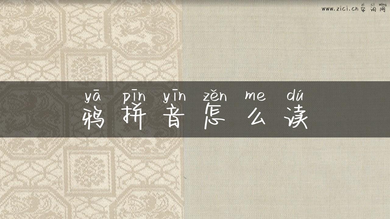 鸦拼音怎么读