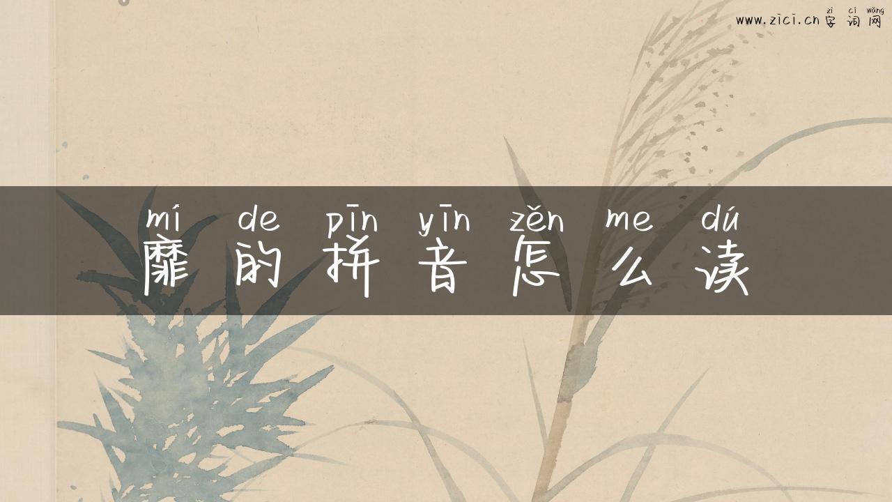 靡的拼音怎么读