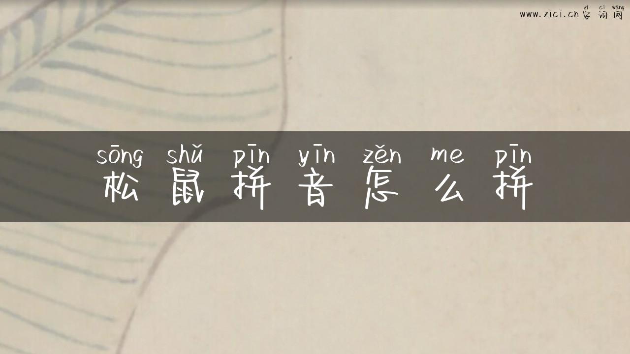 松鼠拼音怎么拼