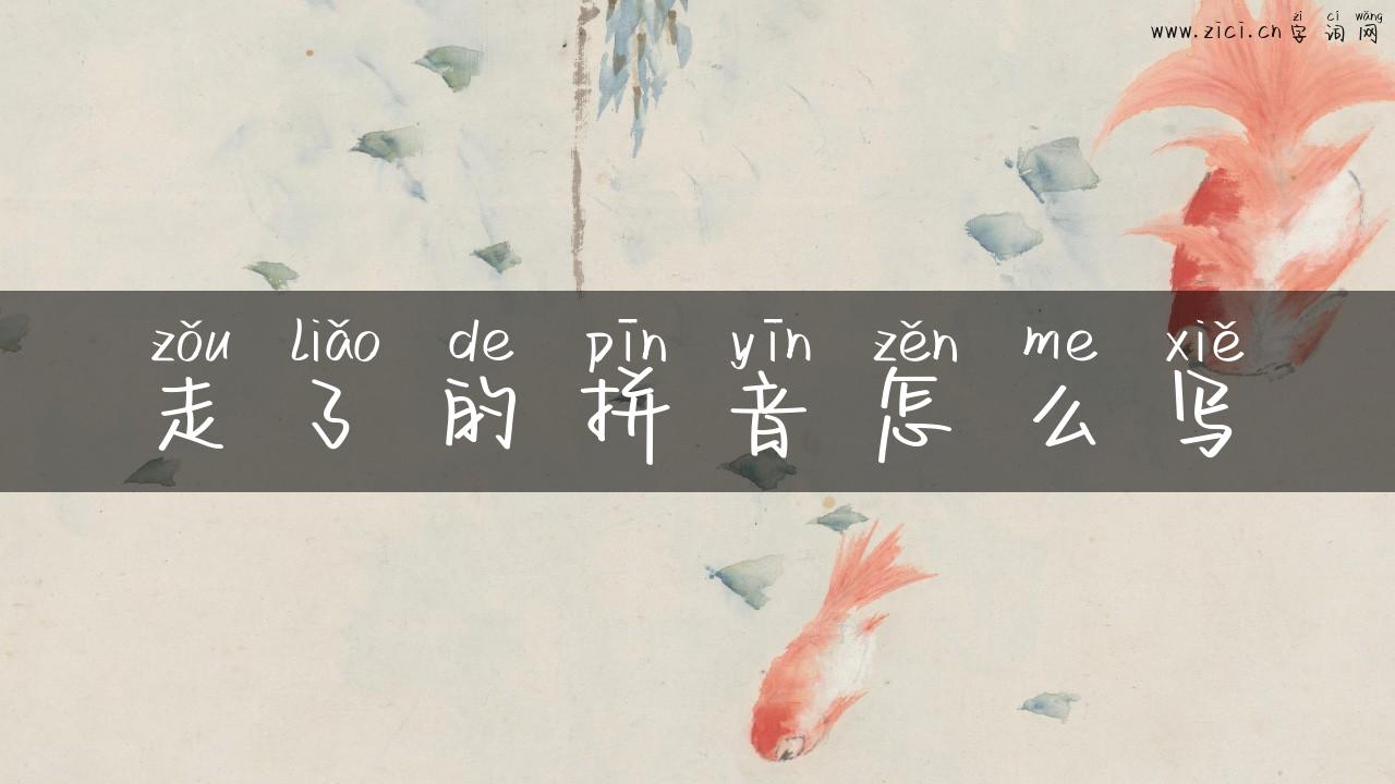 走了的拼音怎么写