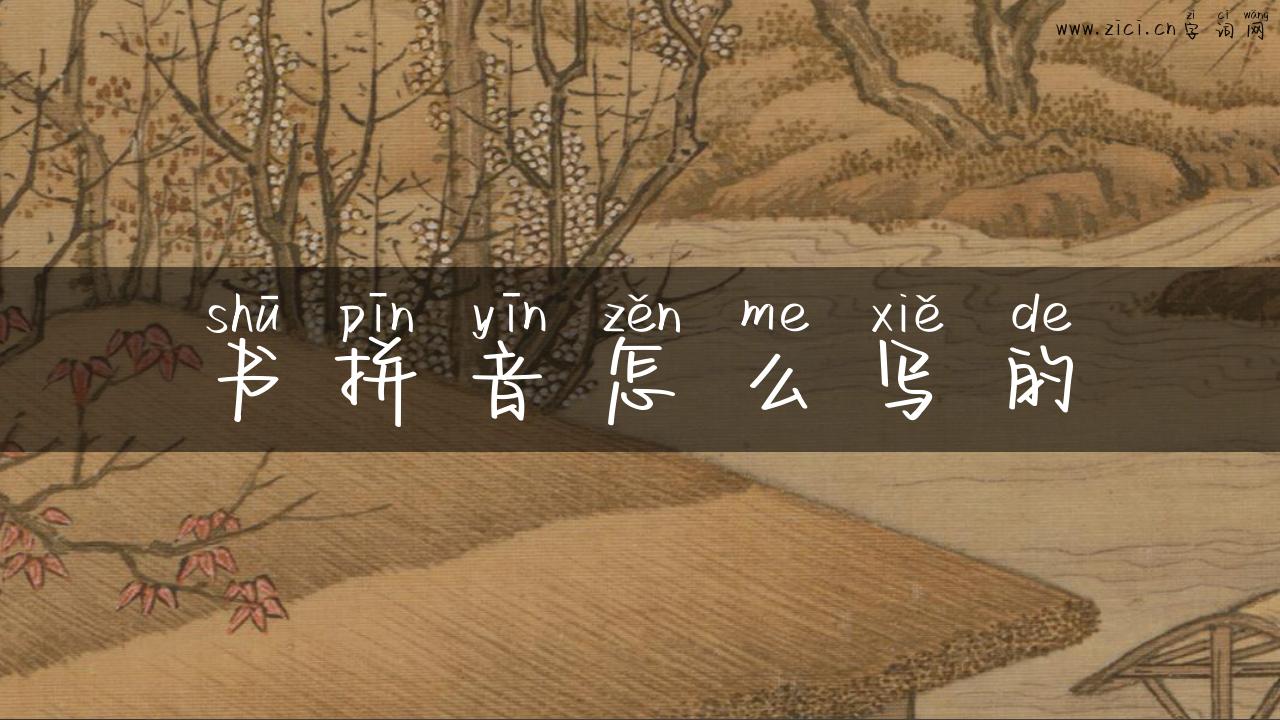 书拼音怎么写的