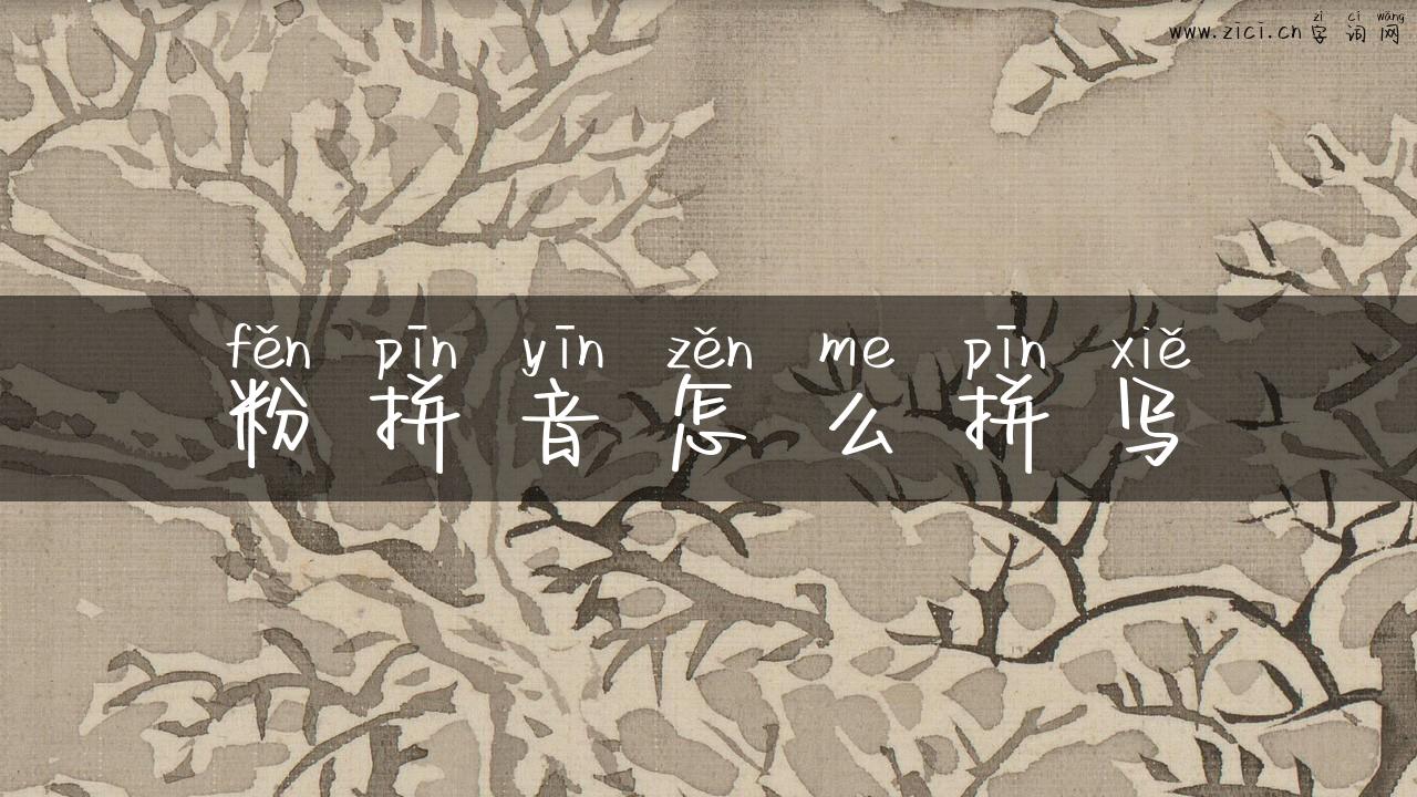 粉拼音怎么拼写
