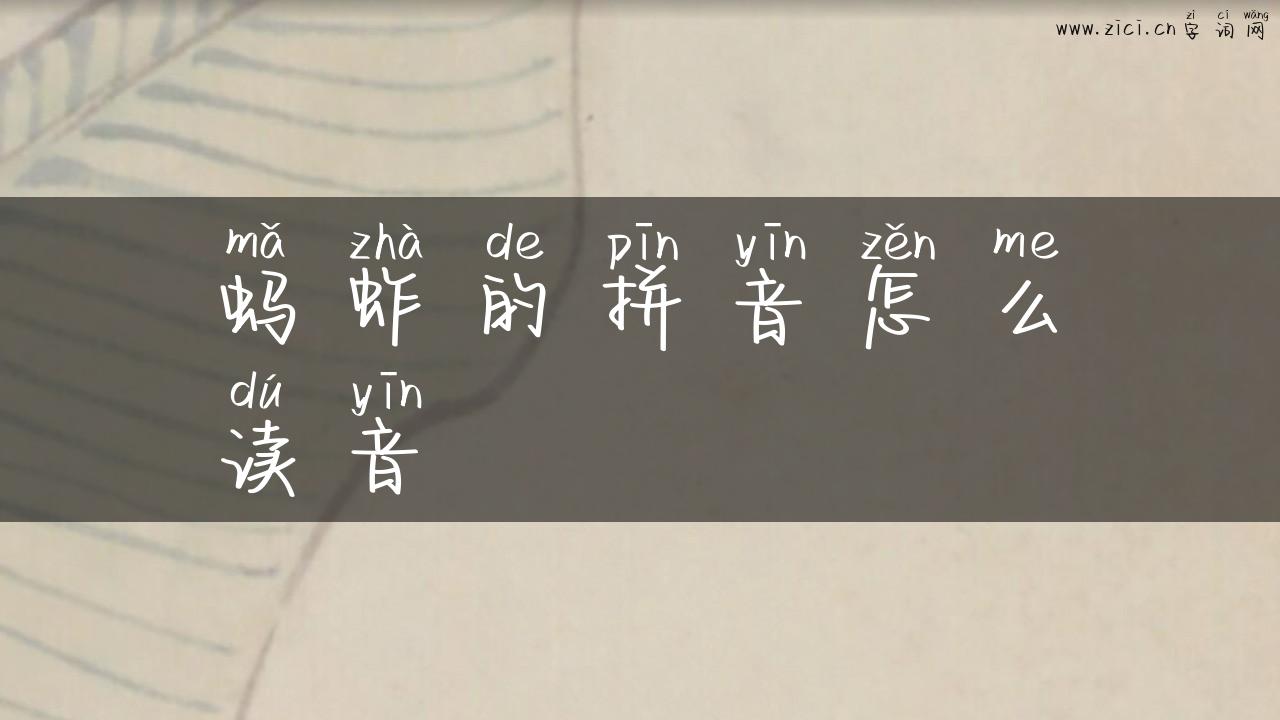 蚂蚱的拼音怎么读音