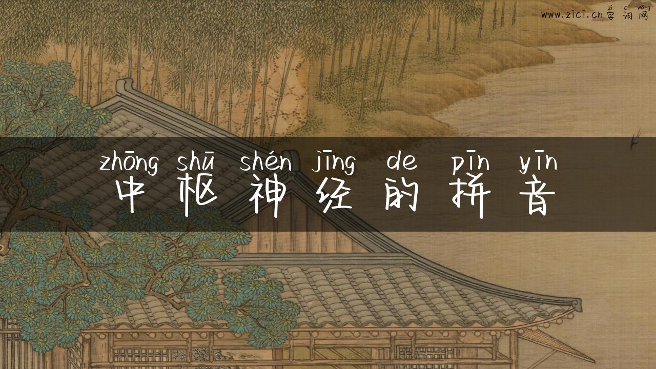 中枢神经的拼音