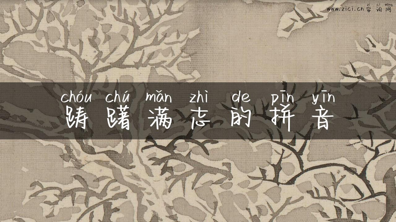 踌躇满志的拼音