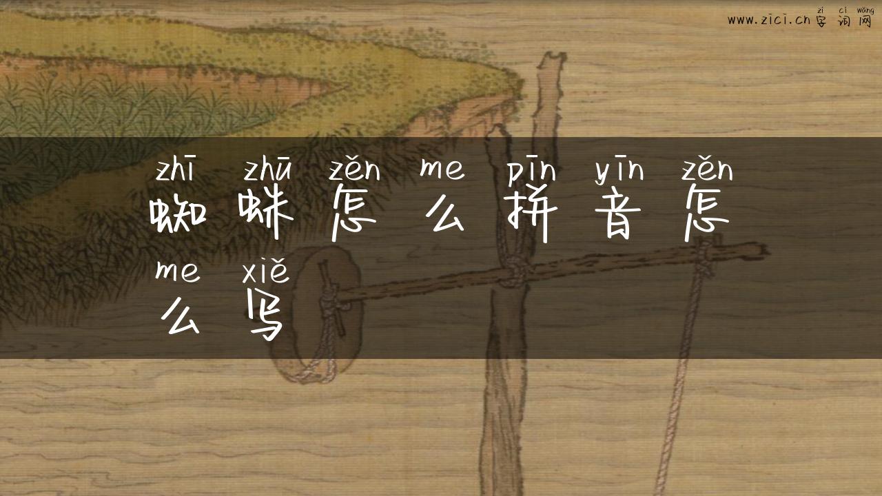 蜘蛛怎么拼音怎么写