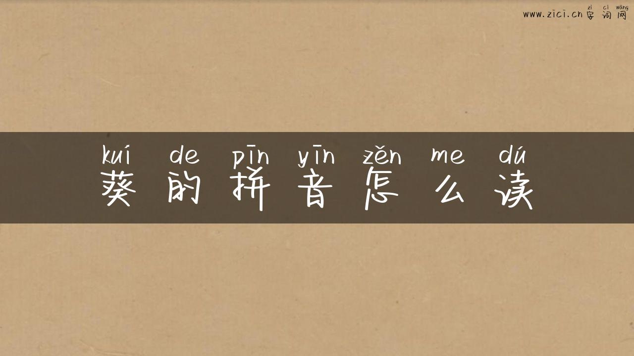 葵的拼音怎么读