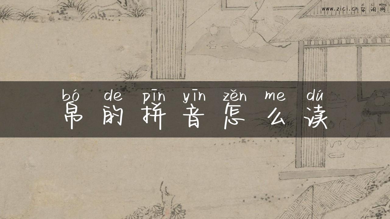 帛的拼音怎么读