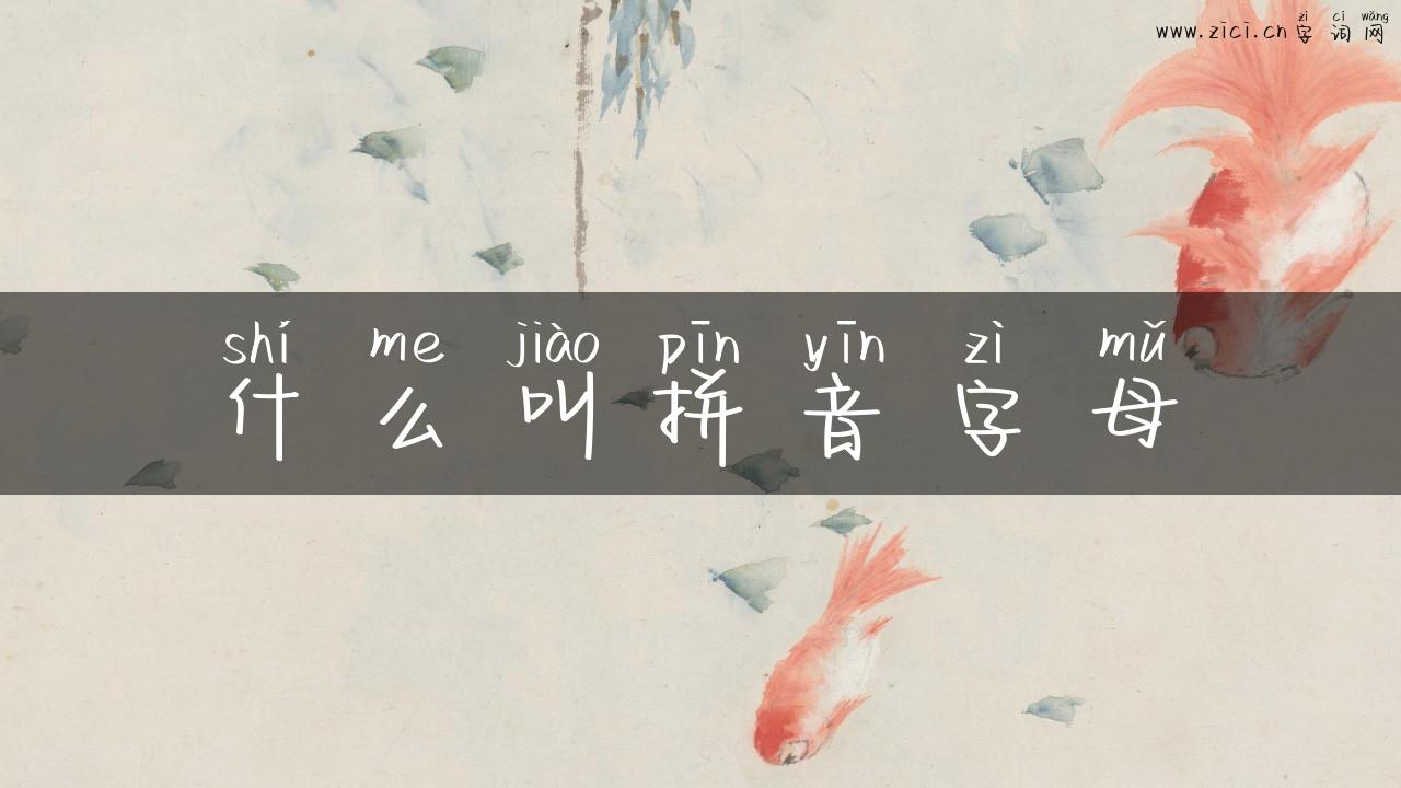 什么叫拼音字母