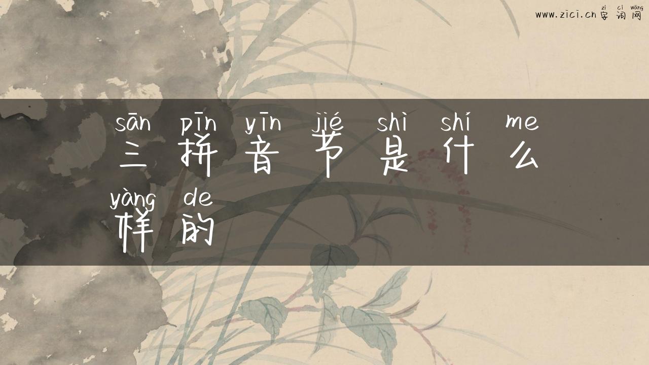 三拼音节是什么样的