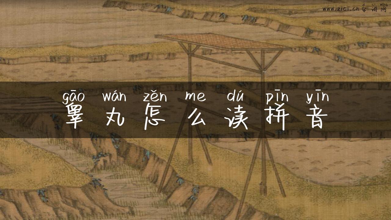 睾丸怎么读拼音