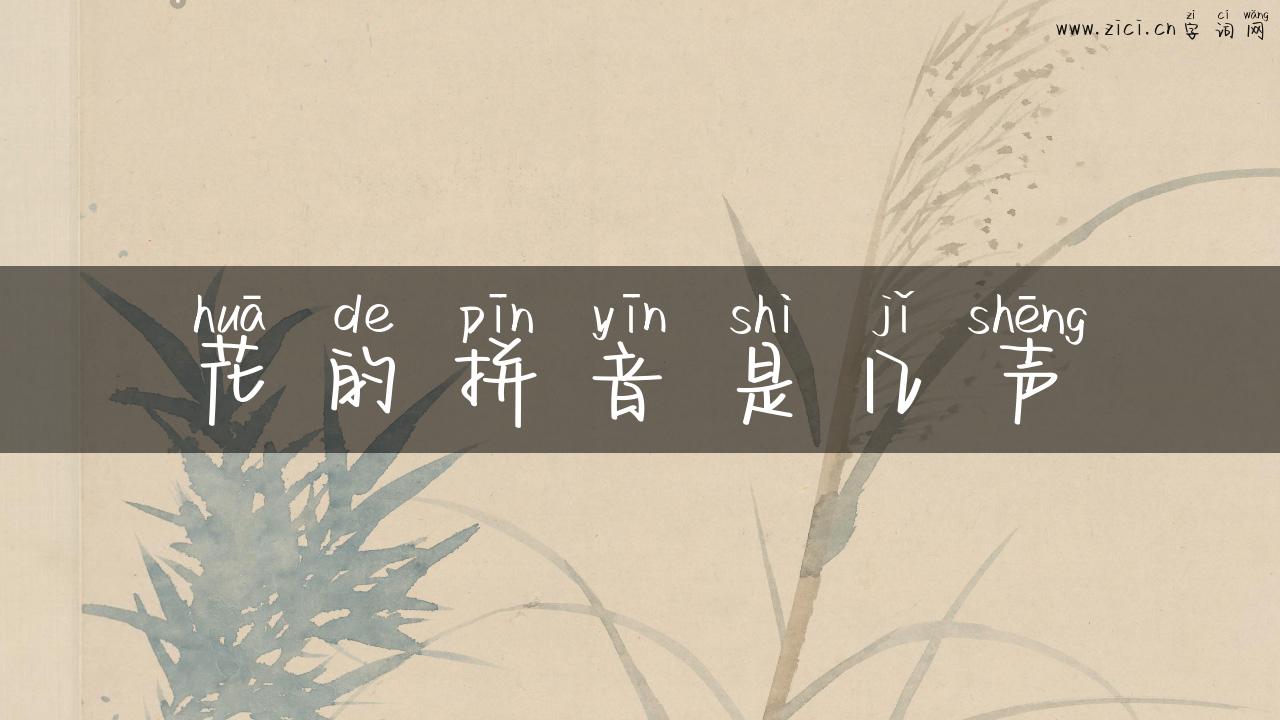 花的拼音是几声