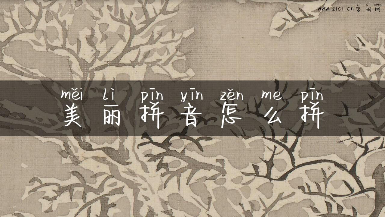 美丽拼音怎么拼