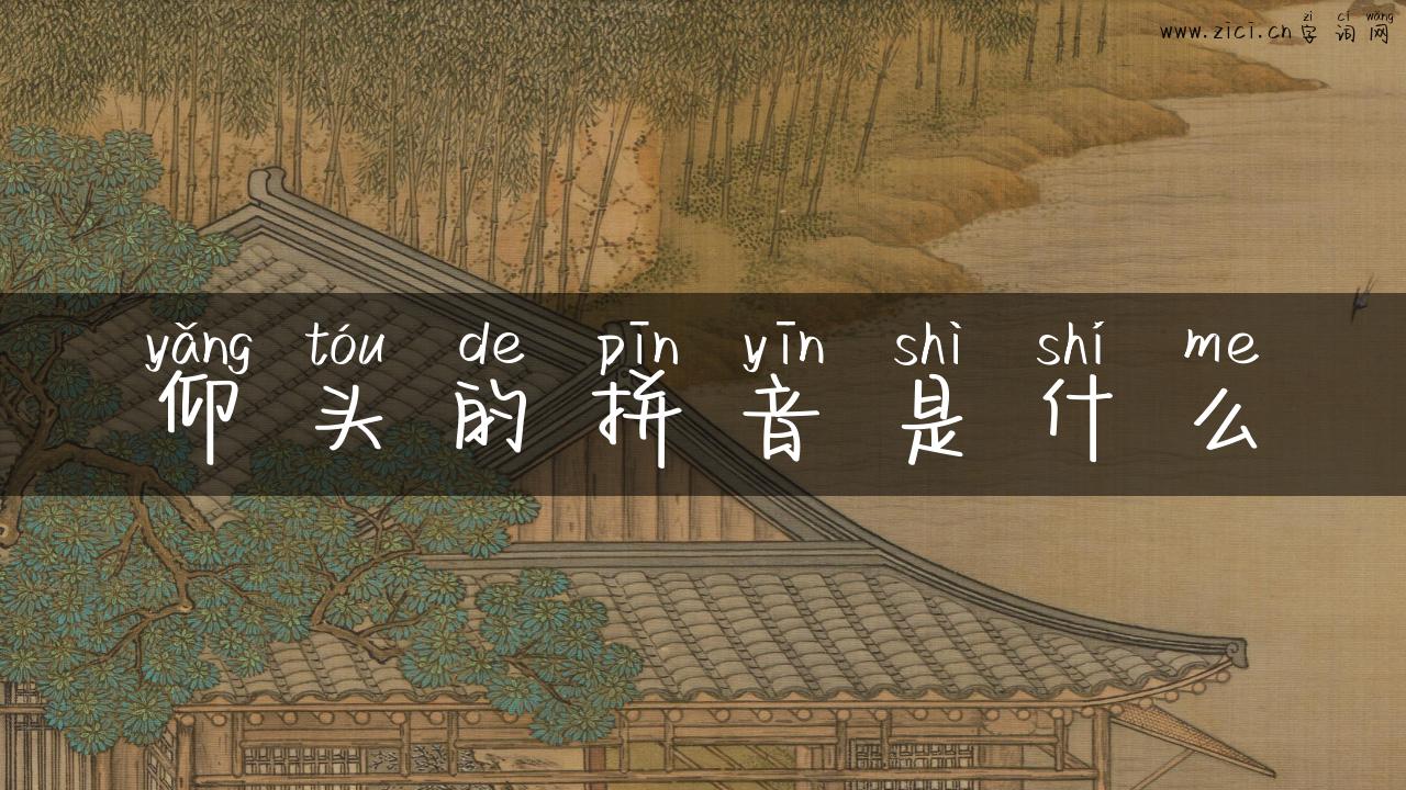 仰头的拼音是什么