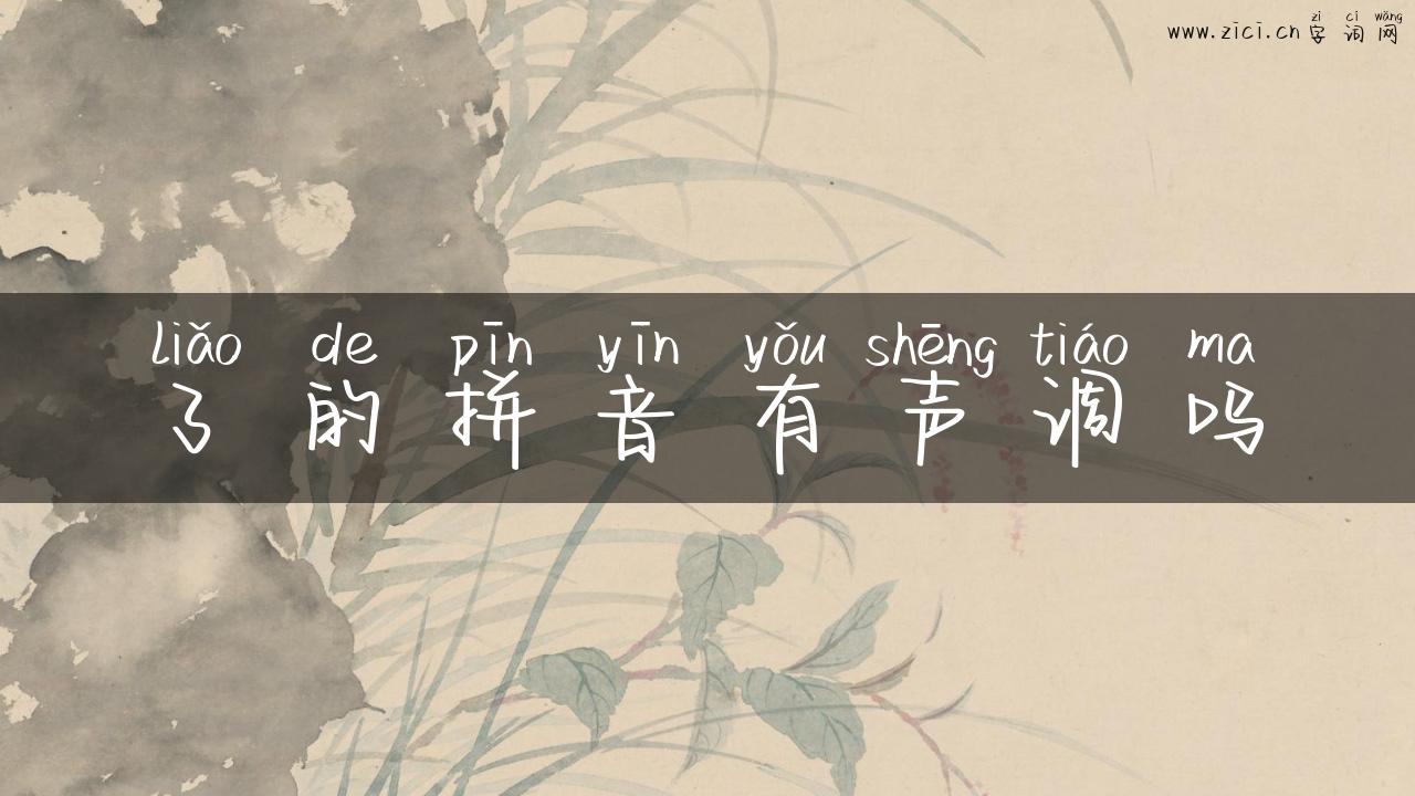 了的拼音有声调吗
