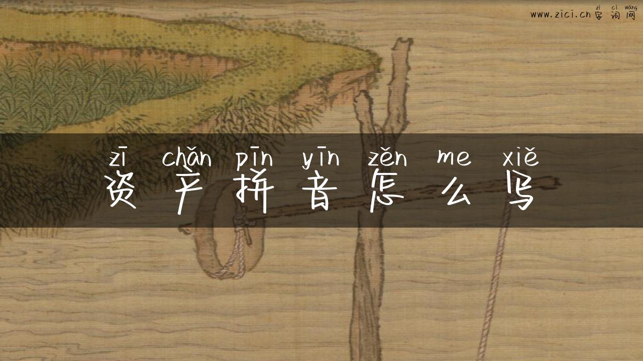 资产拼音怎么写