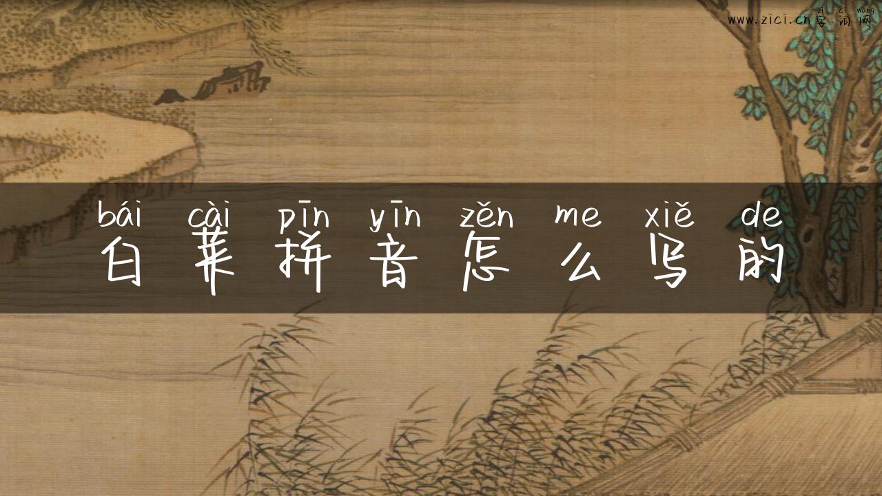 白菜拼音怎么写的
