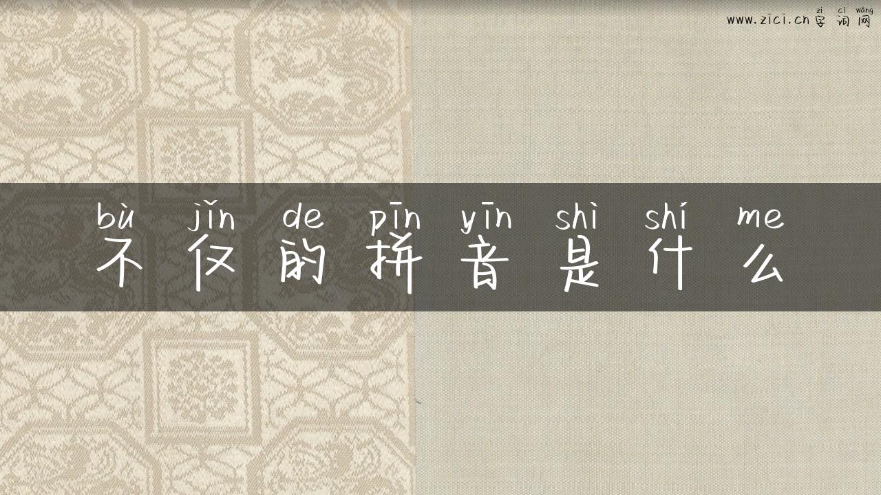 不仅的拼音是什么