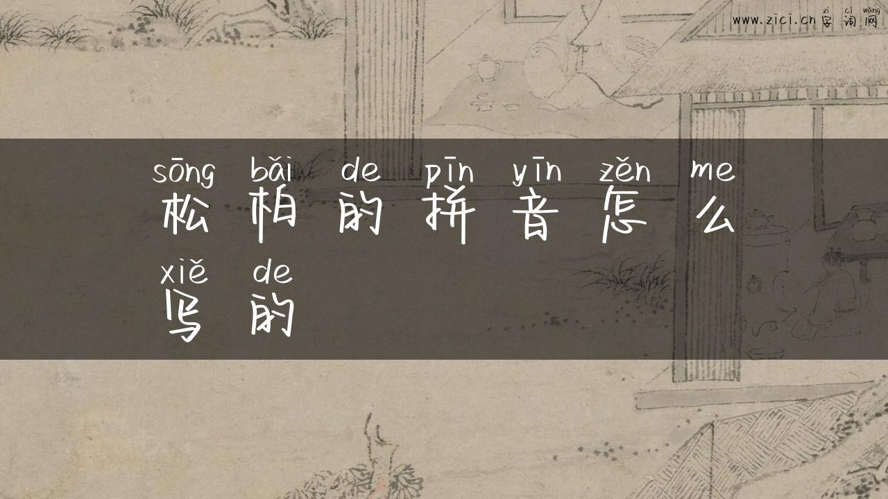 松柏的拼音怎么写的