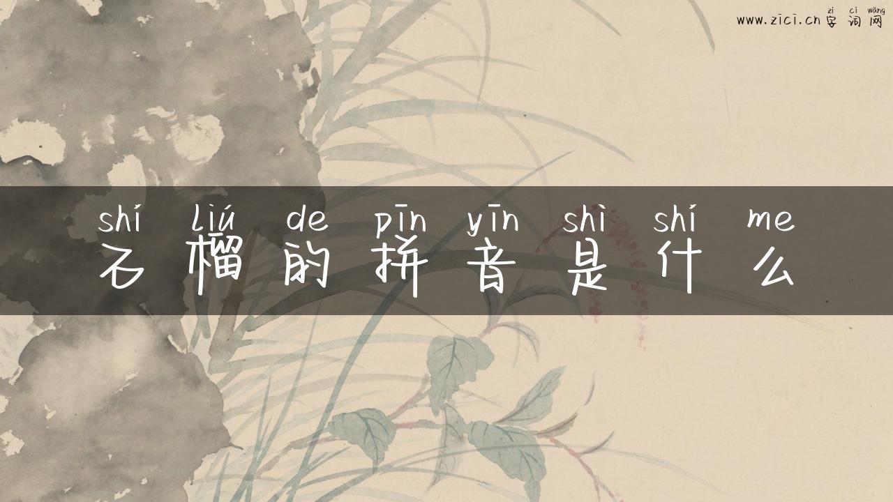石榴的拼音是什么