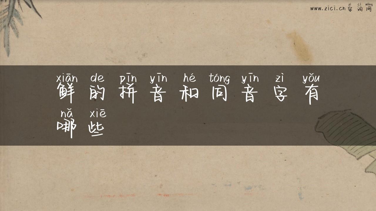鲜的拼音和同音字有哪些