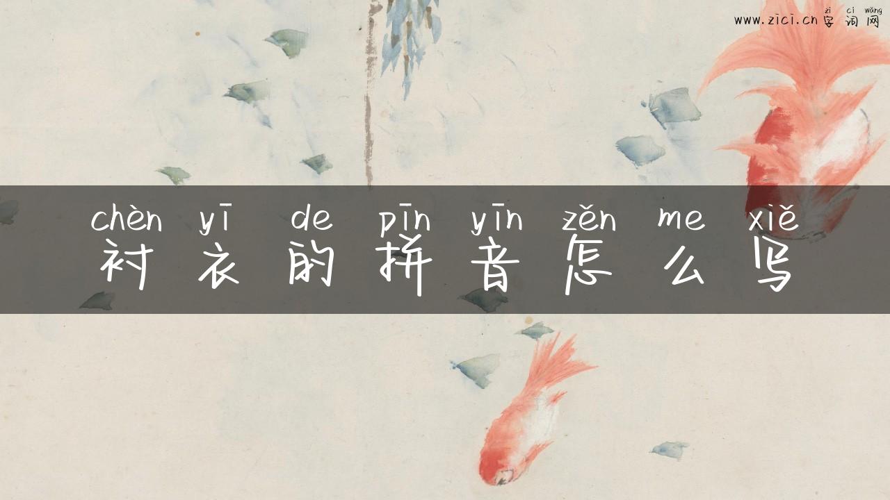 衬衣的拼音怎么写
