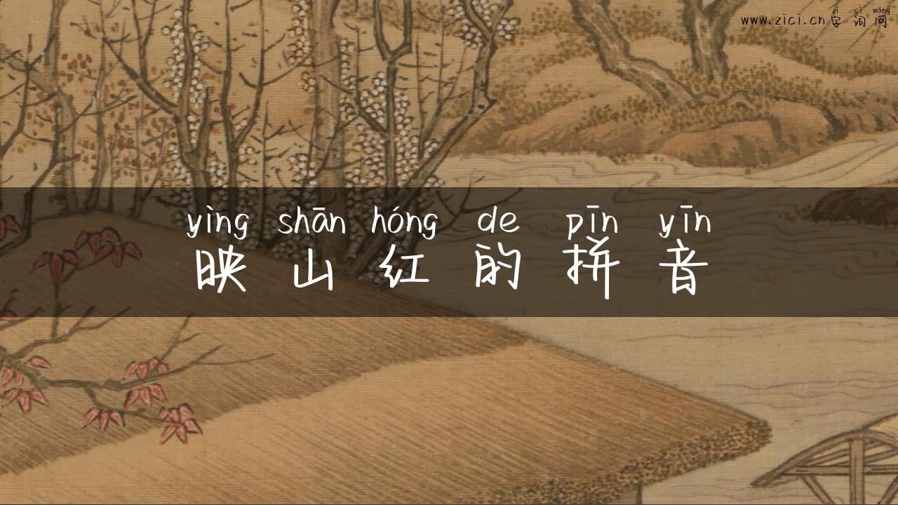 映山红的拼音