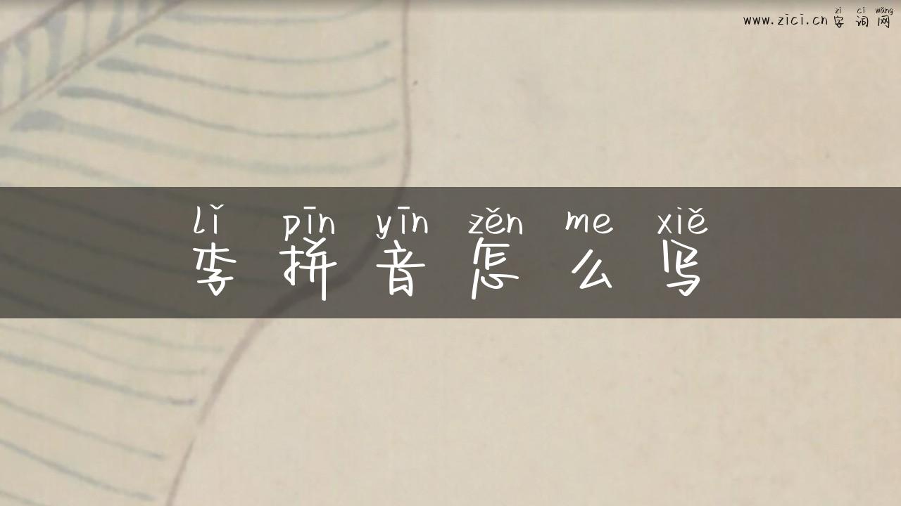 李拼音怎么写