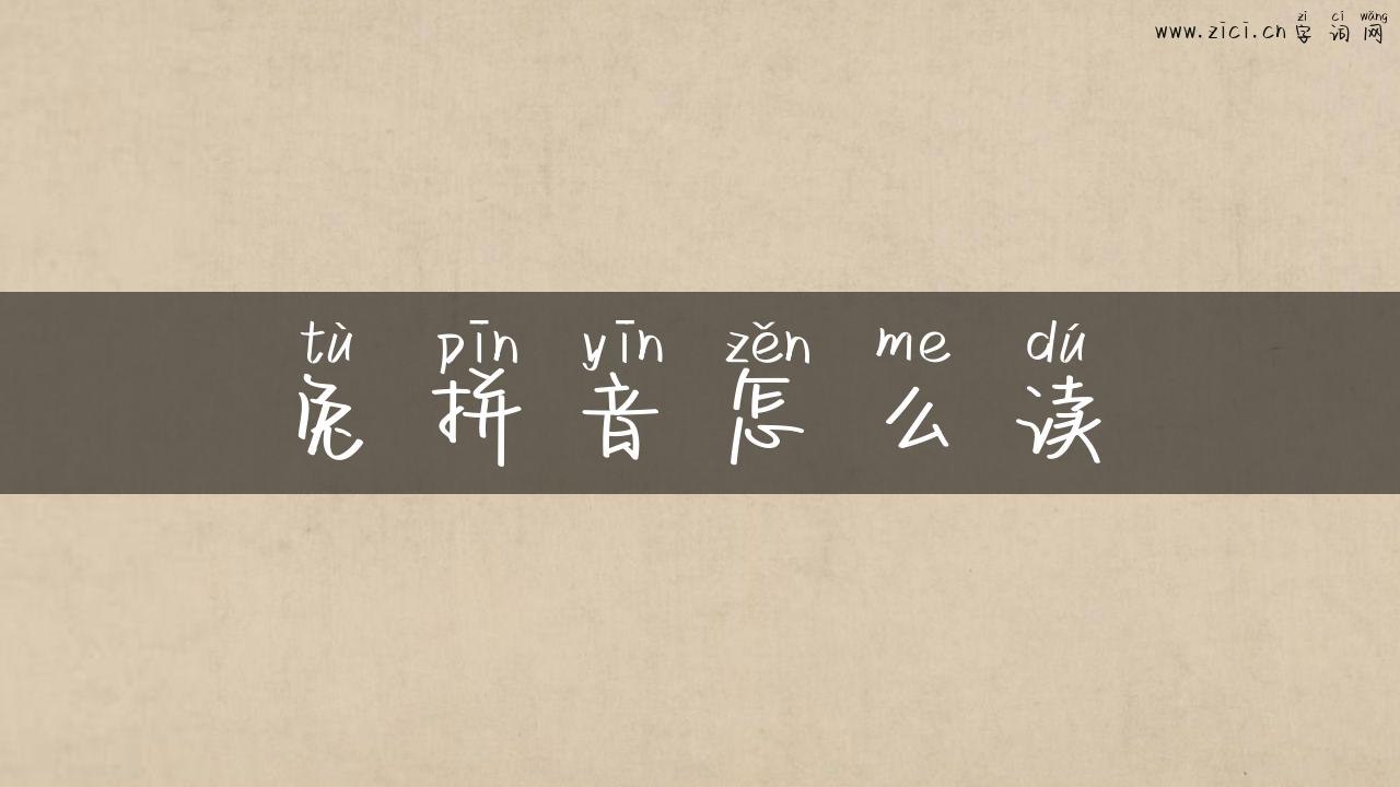 兔拼音怎么读