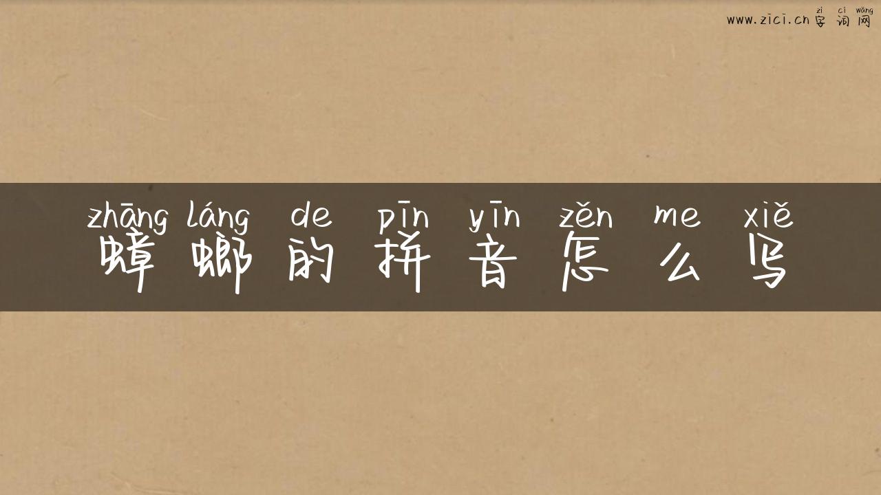 蟑螂的拼音怎么写