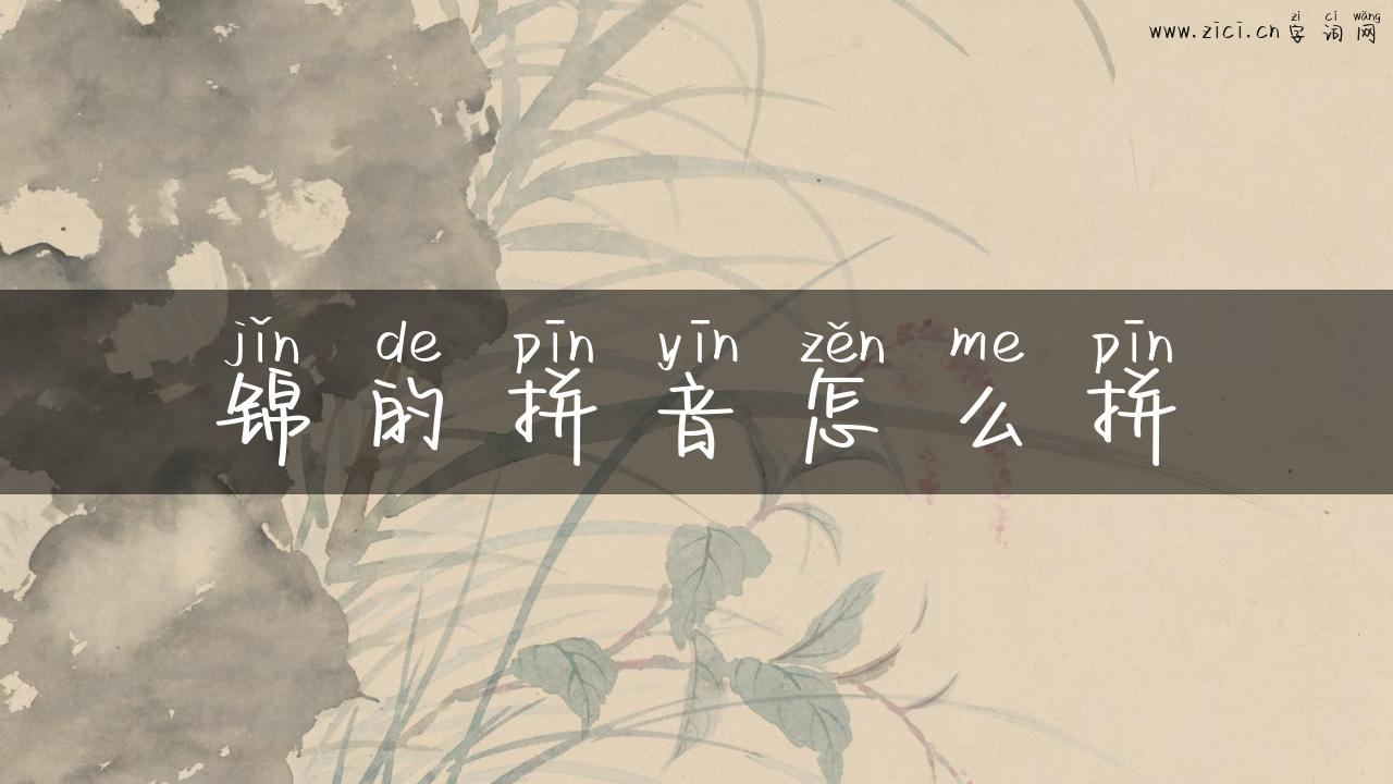 锦的拼音怎么拼