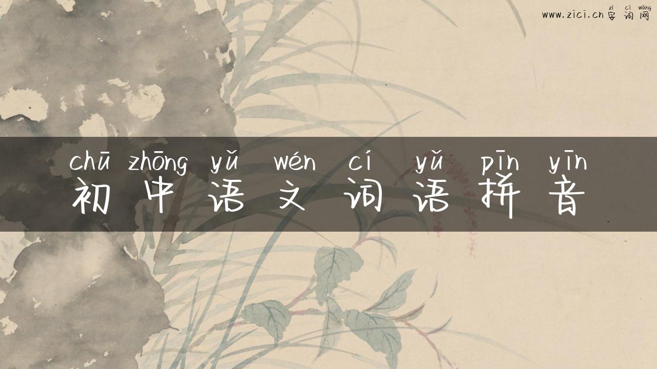 初中语文词语拼音