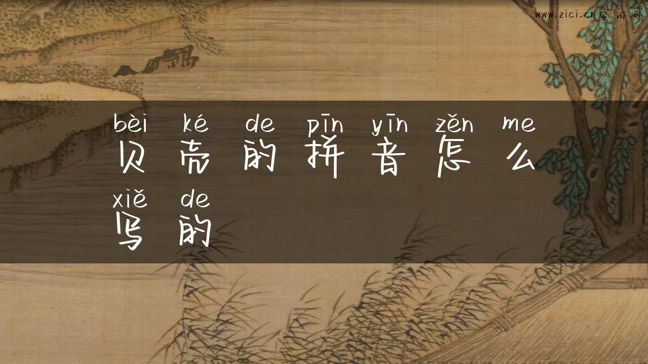 贝壳的拼音怎么写的