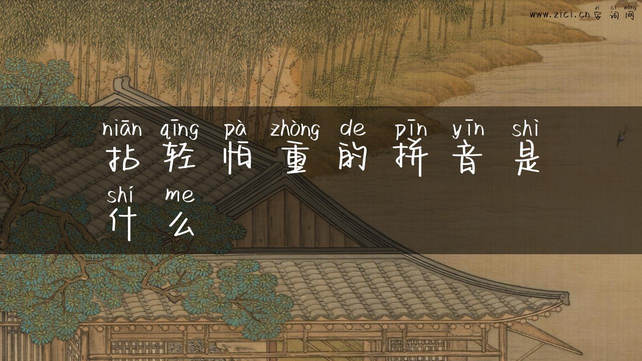 拈轻怕重的拼音是什么