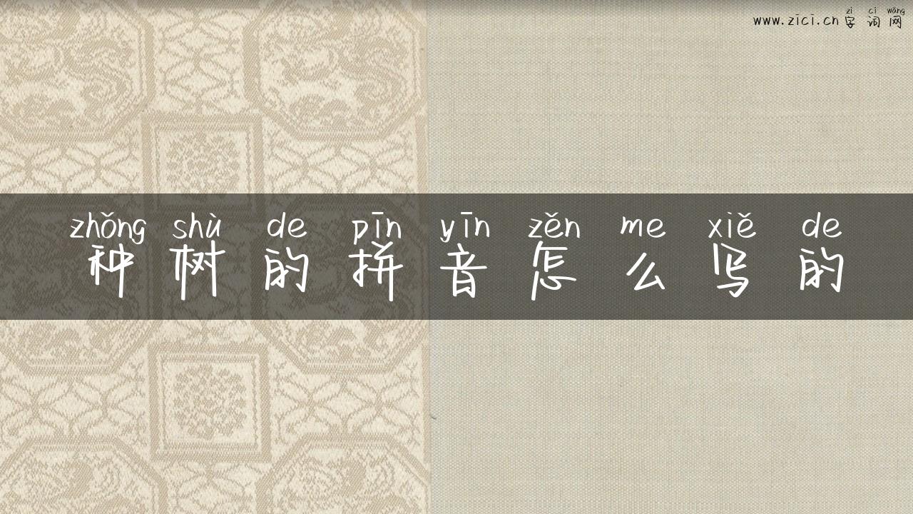 种树的拼音怎么写的