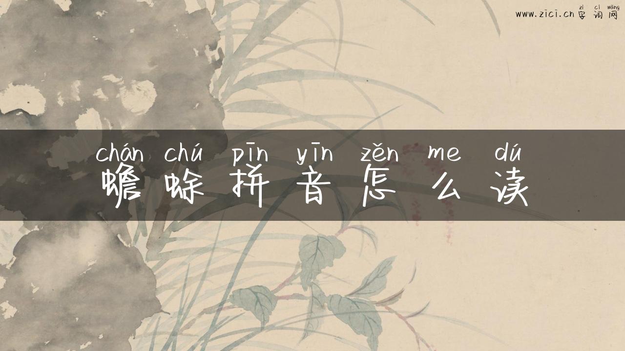 蟾蜍拼音怎么读