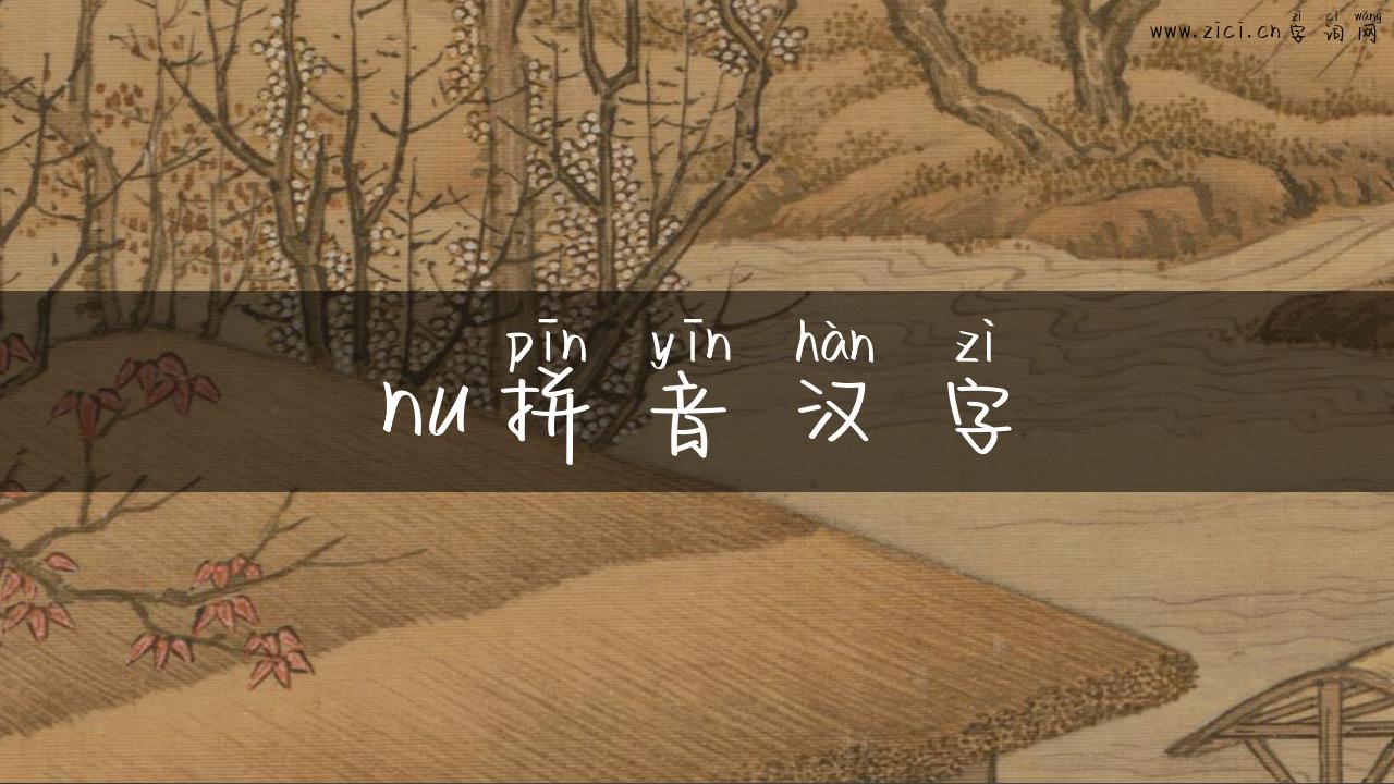nu拼音汉字