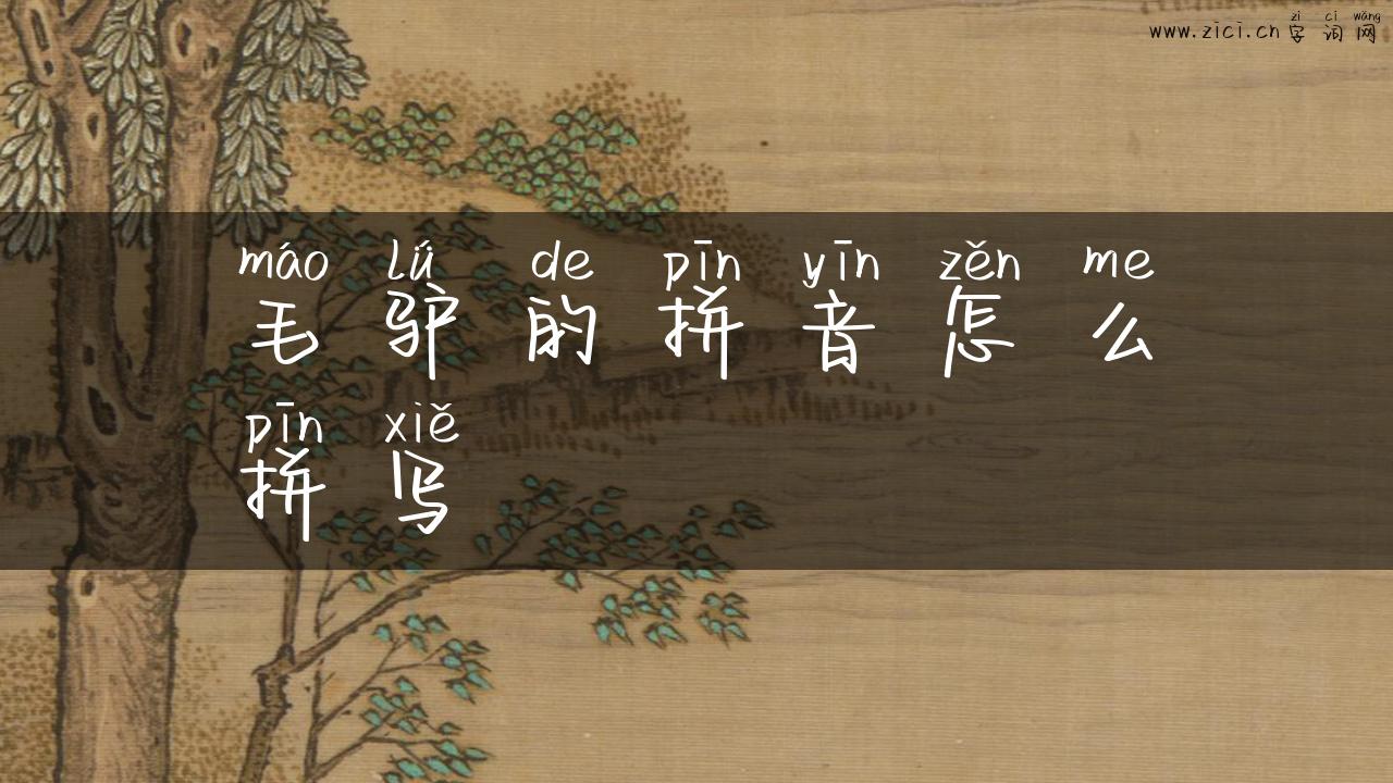 毛驴的拼音怎么拼写