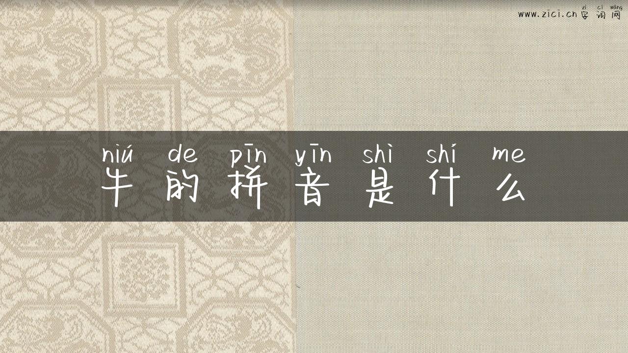 牛的拼音是什么