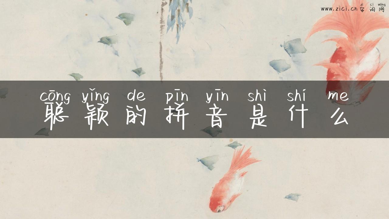聪颖的拼音是什么