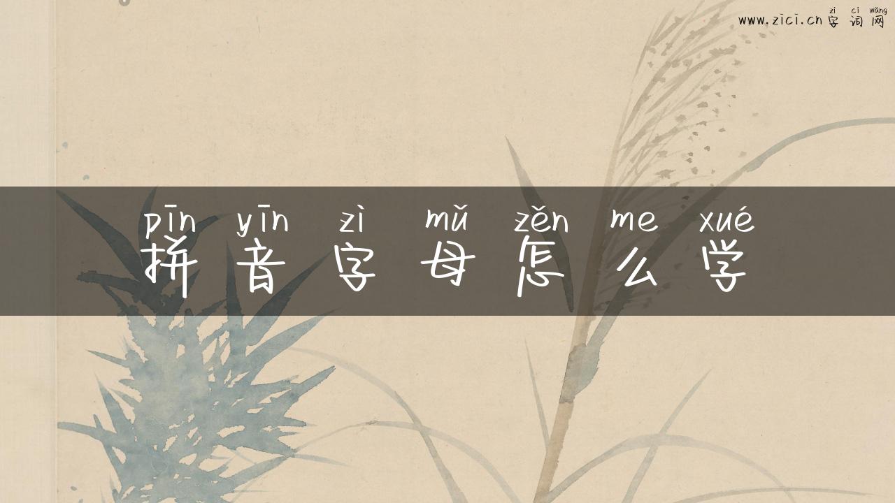 拼音字母怎么学