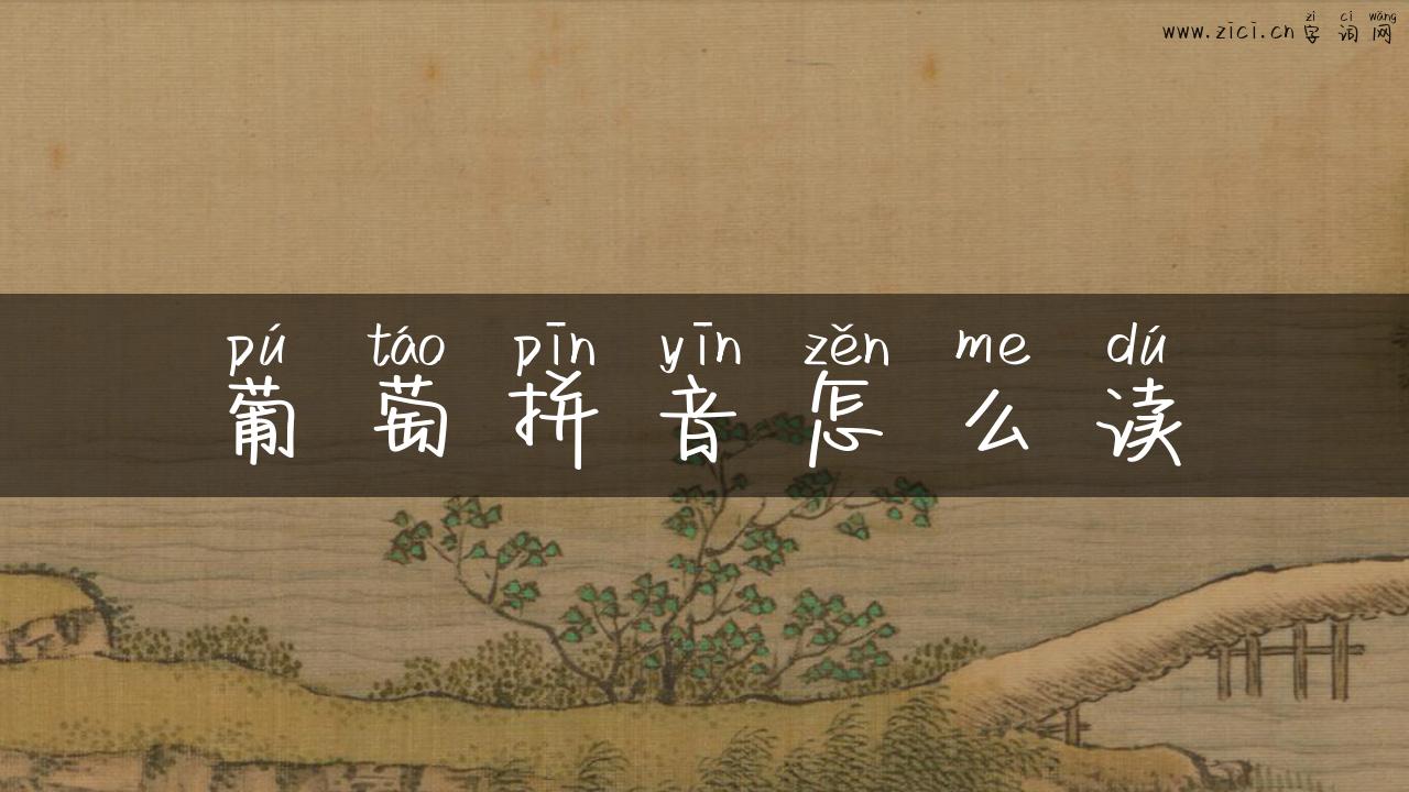 葡萄拼音怎么读