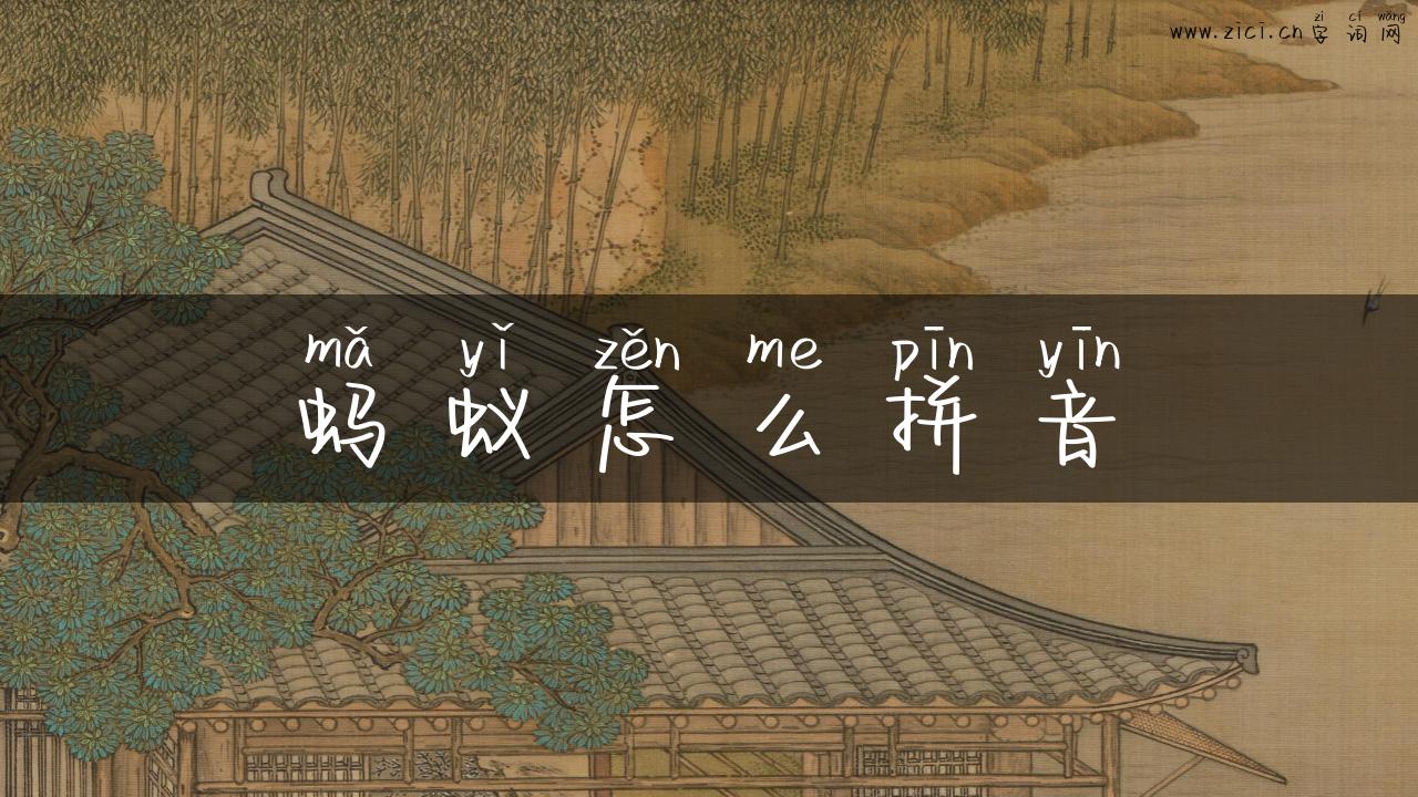 蚂蚁怎么拼音